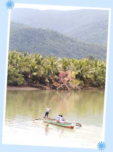 Baler, Aurora