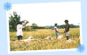 Agriculture