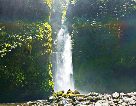 Ditumabo Falls (Mother Falls)