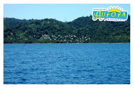 Casiguran Sound