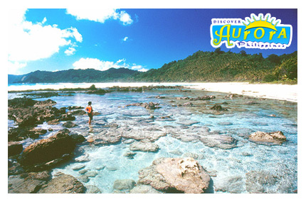 Dibut Bay