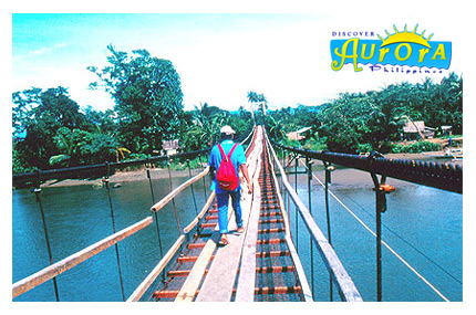 Hanging Bridge