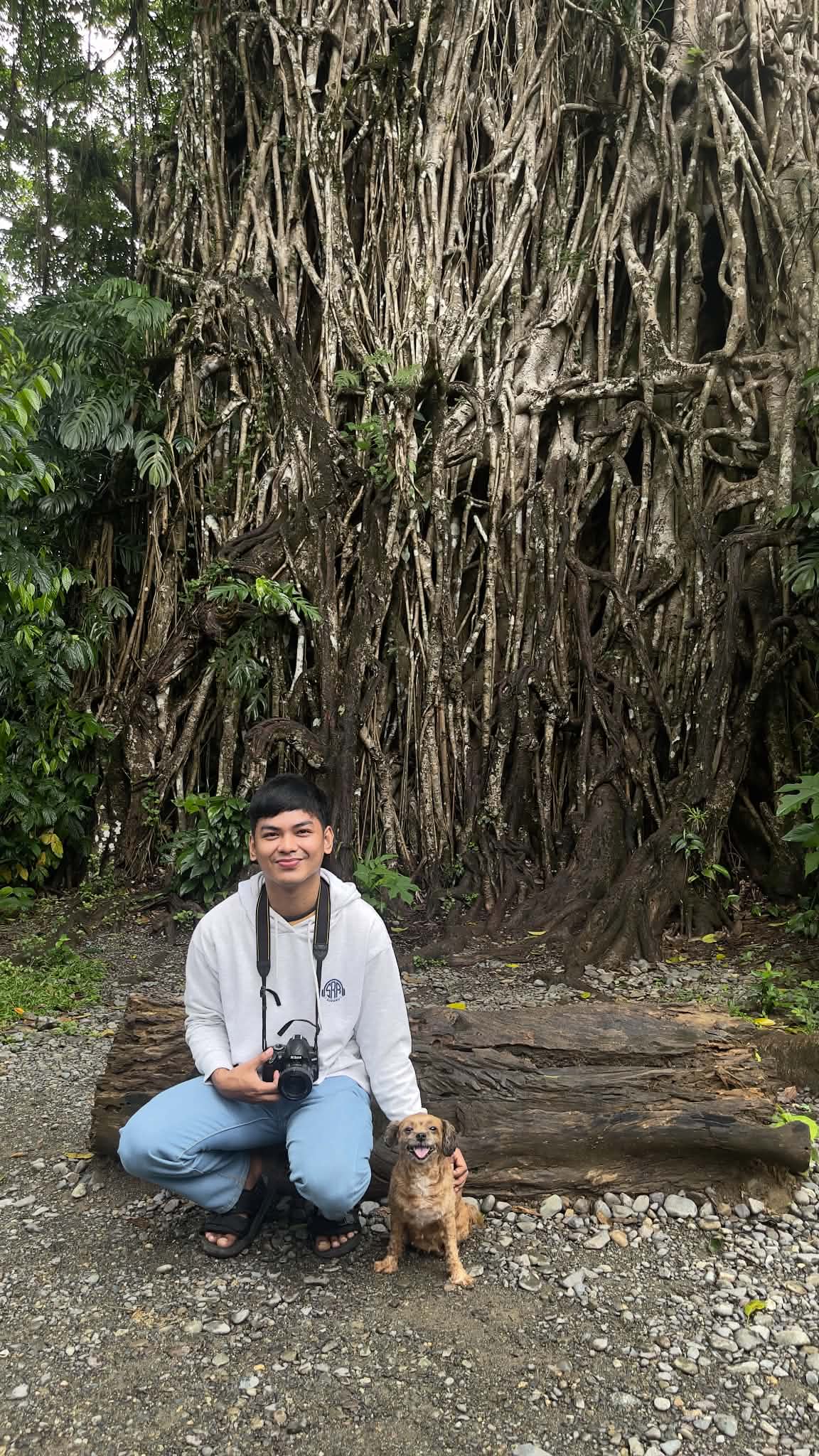 Millennium Tree (Balete Tree) – Aurora, Philippines