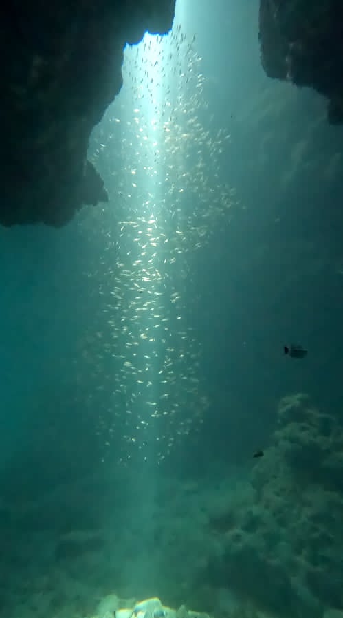 Dibutunan Marine Protected Area