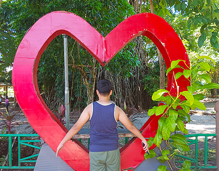 The Ancient Giant: The 600-Year-Old Millennium Tree